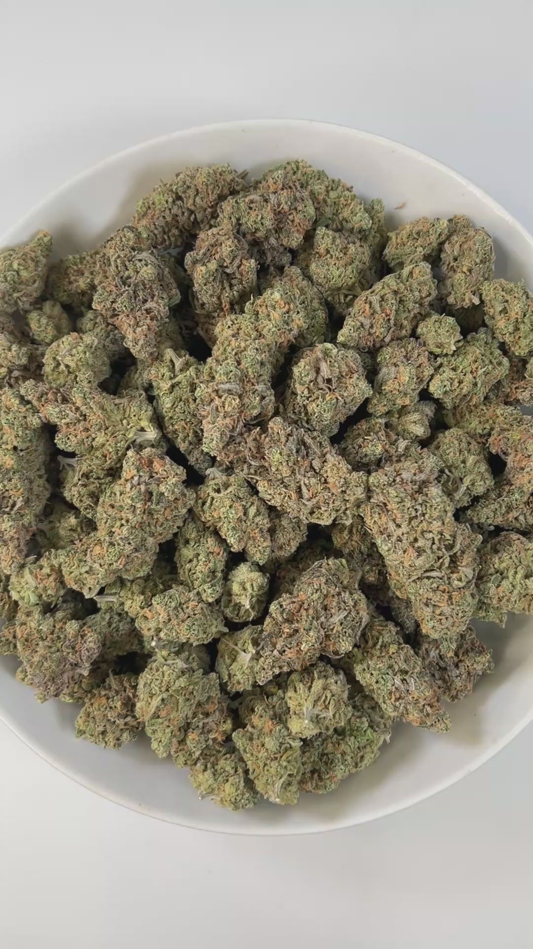 PUFFY Blue Dream is a sativa-dominant hybrid THCa strain born from the legendary cross between Blueberry and Haze. The aroma opens with sweet pineapple and zesty citrus, rounded out by subtle hints of fresh blueberries. Visually stunning, its dense, bright green buds are accented by deep blue hues, fiery orange pistils, and a generous dusting of icy trichomes making it as eye-catching as it is effective. Consumers often report a euphoric, uplifting head high that flows into a gentle, motivating body buzz, p