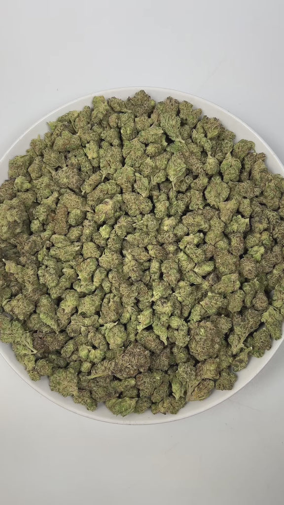 PUFFY Motorbreath is an indica-dominant hybrid THCa strain, born from the legendary cross of Chemdog and SFV OG Kush. The aroma is a rich blend of woody, gassy, and herbal notes, creating a distinctive and earthy scent that intrigues the senses. Visually, dense green buds with purple hues and fiery orange pistils are coated in sticky trichomes. Consumers often report a wave of relaxation and euphoria that helps them unwind after a long day, ease stress, elevate mood, and potentially soothe anxiety.