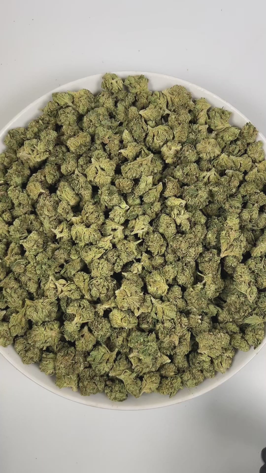 PUFFY Mint Pie is an indica-dominant hybrid THCa strain, born from the renowned cross of Payton’s Pie and Ice Cream Mints. The aroma opens with refreshing mint, grounded by earthy undertones, and rounded out with a smooth hint of vanilla. Visually, the dense buds display deep forest-green with amber hues, vibrant orange pistils, and a generous coating of sparkling trichomes. Consumers often report a blissful, head-to-toe high that lifts the mind while melting tension from the body, perfect for unwinding or 