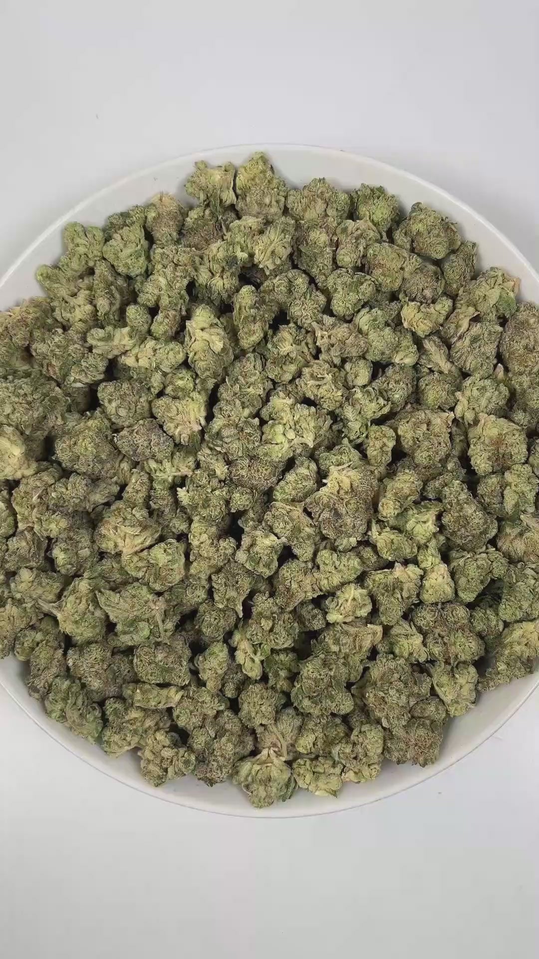 PUFFY Tiger Mintz is an indica-dominant hybrid THCa strain, crafted from the masterful cross of Orange Push Pop × Animal Mintz. The aroma is sweet and inviting, with refreshing minty notes and a hint of juicy berry that lingers pleasantly. Visually, dense green buds with purple hues and fiery orange pistils are coated in sticky trichomes. Consumers often report experiencing deep relaxation and body calm, euphoric mood uplift, and a heightened sense of creativity or focus.