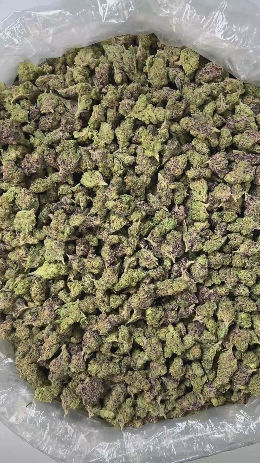 PUFFY Rocket Fuel (smalls) is an indica-dominant THCa strain, bred from a powerhouse cross of Jet Fuel OG and Face Off OG BX1. The aroma profile is distinctly earthy and gassy, with strong chemical undertones that amplify its pungency and depth. Visually, the buds are dense and compact, with a rich forest green base accented by subtle purple hues, vibrant orange pistils, and a thick layer of sparkling white crystalline trichomes. Consumers frequently describe experiencing a euphoric boost, uplifting energy,