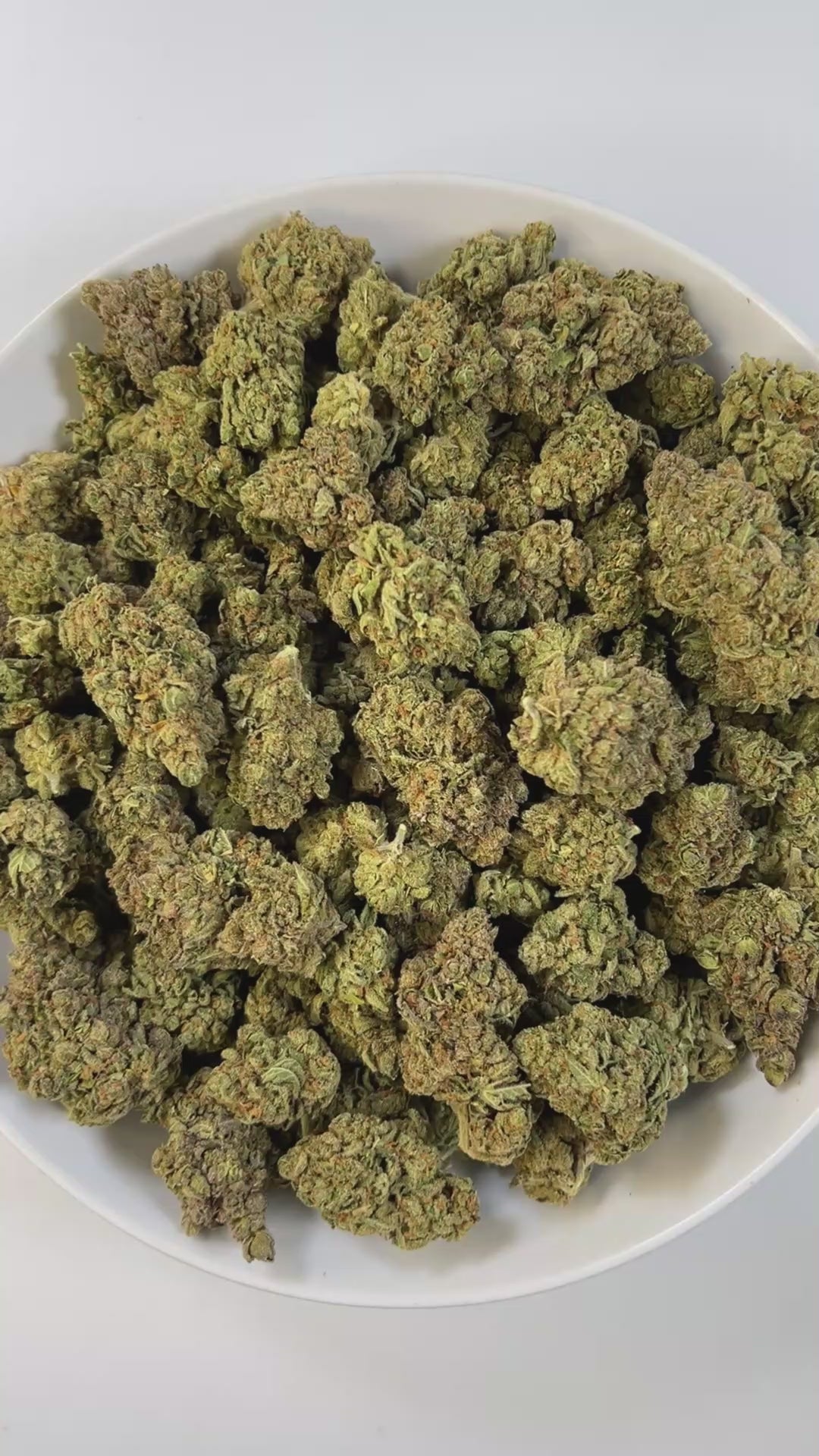 PUFFY White Truffle is an indica-dominant hybrid THCa strain, crafted from the legendary lineage of Gorilla Butter, a standout phenotype of Gorilla Glue #4 × Peanut Butter Breath. The aroma carries earthy undertones, blended with a doughy richness and subtle herbal notes. Visually striking, these medium-sized buds glisten under a thick frost of white trichomes, with vibrant orange pistils winding through deep green and purple tones. Consumers often report a wave of euphoria that lifts mood and sharpens focu