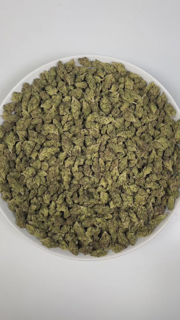 PUFFY Sunset Sherbert (smalls) is an indica-dominant hybrid THCa strain, crafted from the celebrated cross of Girl Scout Cookies (GSC) and Pink Panties. The aroma opens with sharp eucalyptus, layered with fresh pine and underscored by a subtle hint of diesel. Visually, dense bright green buds with purple hues and fiery orange pistils are coated in sticky trichomes. Consumers often report a balanced high that combines an uplifting, euphoric, and creative mental buzz with relaxing, calming body effects.