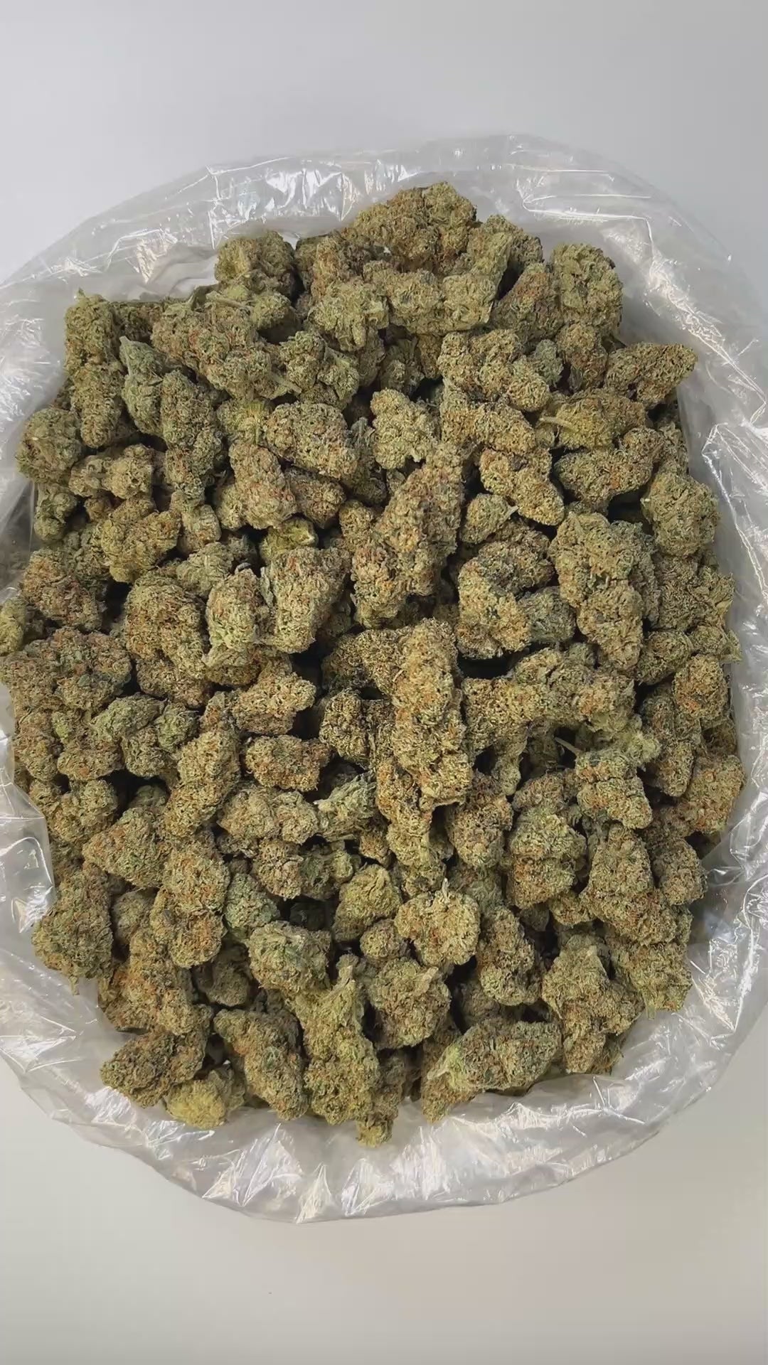 PUFFY NYC Diesel is a captivating hybrid THCa strain, expertly bred from the legendary Sour Diesel and traditional Mexican and Afghani landrace strains. The aroma opens with a bold, gassy diesel scent, layered with funky, earthy undertones and a refreshing hint of eucalyptus that adds a crisp, invigorating touch. Visually, the buds are strikingly vibrant with a rich resin coating, displaying a unique blend of colors and a dense, frosty texture. Consumers often report an uplifting and euphoric high, characte