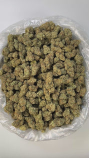 PUFFY NYC Diesel is a captivating hybrid THCa strain, expertly bred from the legendary Sour Diesel and traditional Mexican and Afghani landrace strains. The aroma opens with a bold, gassy diesel scent, layered with funky, earthy undertones and a refreshing hint of eucalyptus that adds a crisp, invigorating touch. Visually, the buds are strikingly vibrant with a rich resin coating, displaying a unique blend of colors and a dense, frosty texture. Consumers often report an uplifting and euphoric high, characte