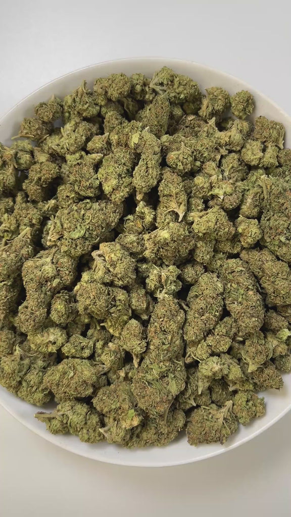 PUFFY Biscotti is an indica-dominant hybrid THCa strain born from the flavorful cross of Gelato #25 and South Florida OG. The aroma blends sweet notes of honey and caramel with a sharp, gassy undertone. Visually, the buds are compact and rock-like with rich green to dark jade tones, occasional violet streaks, fiery orange pistils, and a sparkling resin coating that gives them a candied appearance. Consumers often report the high as a balanced experience that starts with a cerebral uplift, sparking creativit