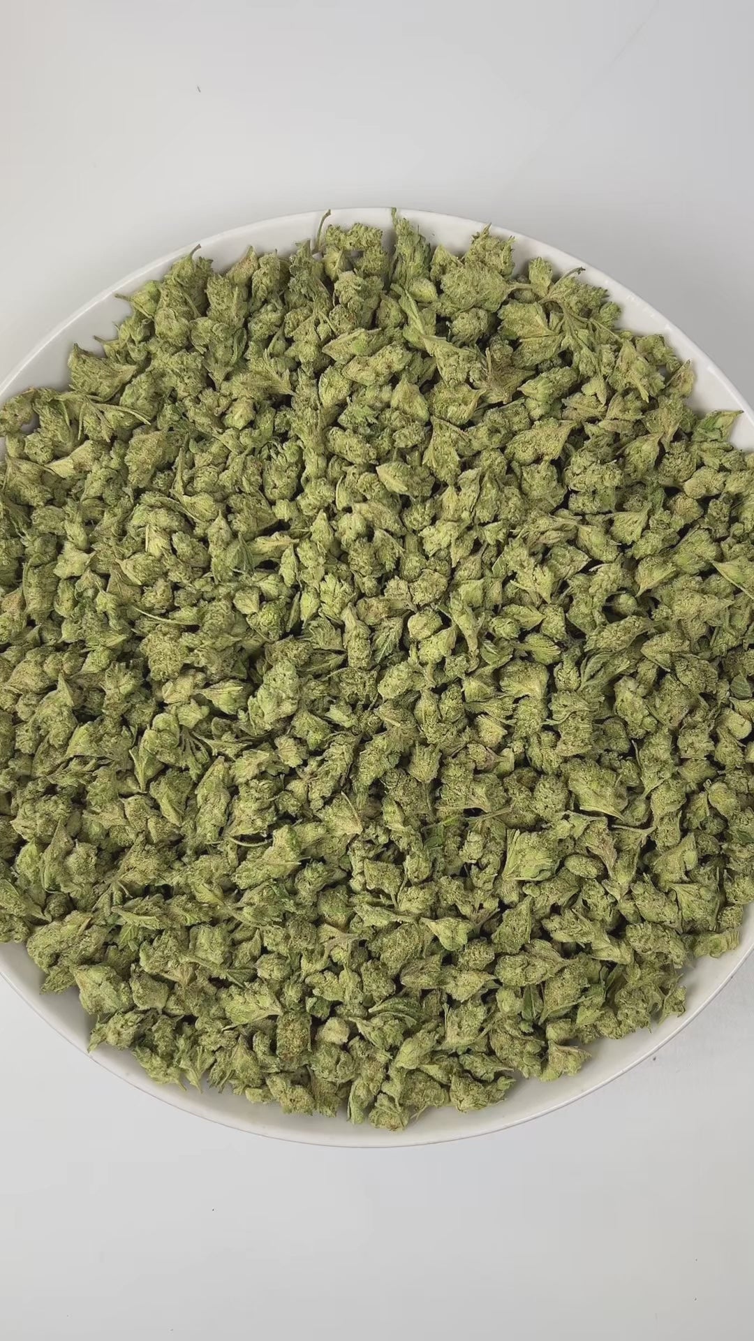 PUFFY Papaya Bomb (smalls) is a balanced hybrid THCa strain, born from the unique pairing of Papaya and THC Bomb. The aroma bursts with vibrant tropical notes, complemented by refreshing hints of mint and a subtle cooling touch of eucalyptus. Visually, buds are dense and frosty, featuring spring green and purple hues with bright orange pistils and a thick coating of sparkling trichomes. Consumers often report feeling euphoric, creatively inspired, joyful, and uplifted, making it a perfect choice for boostin