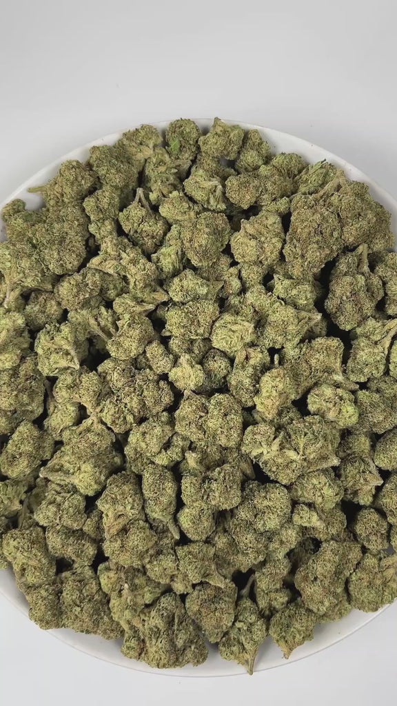 PUFFY White Runtz is a balanced hybrid THCa strain, created from a cross between Gelato and ZKZ. The aroma bursts with sweet candy notes balanced by zesty lemon and a bold gassy undertone. Visually, the buds are dense and frosty, showcasing vibrant green hues with occasional purple accents, all coated in a thick layer of white trichomes. Consumers frequently describe experiencing a euphoric and uplifting sensation, accompanied by an improved mood and a gentle, soothing sense of relaxation.