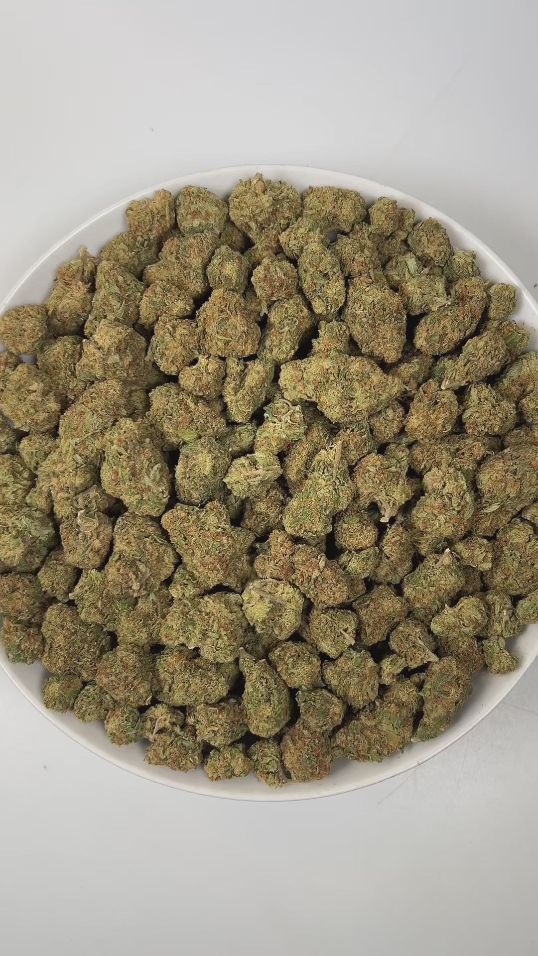 PUFFY Double Deuce is a sativa-dominant hybrid THCa strain, the result of a legendary fusion between the iconic OG Kush and the potent Jack Herer. The aroma is a pungent fusion of sharp onions, fuel-like diesel, and gassy undertones, creating a bold and intense scent that immediately commands attention. Visually, dense pine green buds with purple hues and fiery orange pistils are coated in sticky trichomes. Consumers often report a cerebral uplift that sparks creativity, euphoria, and sociability, followed 