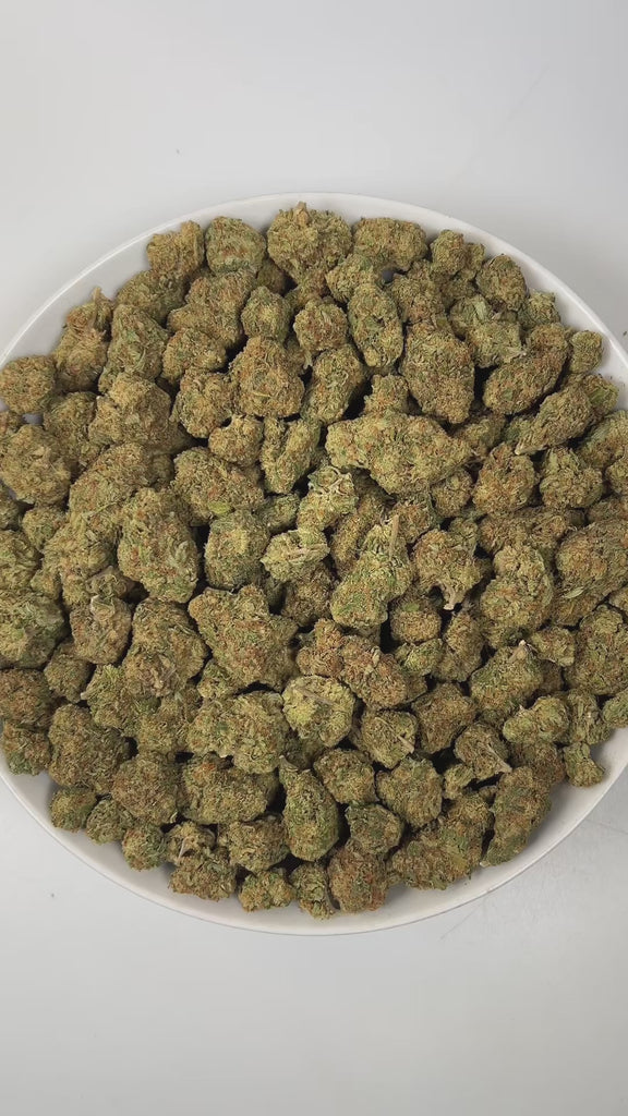 PUFFY Double Deuce is a sativa-dominant hybrid THCa strain, the result of a legendary fusion between the iconic OG Kush and the potent Jack Herer. The aroma is a pungent fusion of sharp onions, fuel-like diesel, and gassy undertones, creating a bold and intense scent that immediately commands attention. Visually, dense pine green buds with purple hues and fiery orange pistils are coated in sticky trichomes. Consumers often report a cerebral uplift that sparks creativity, euphoria, and sociability, followed 