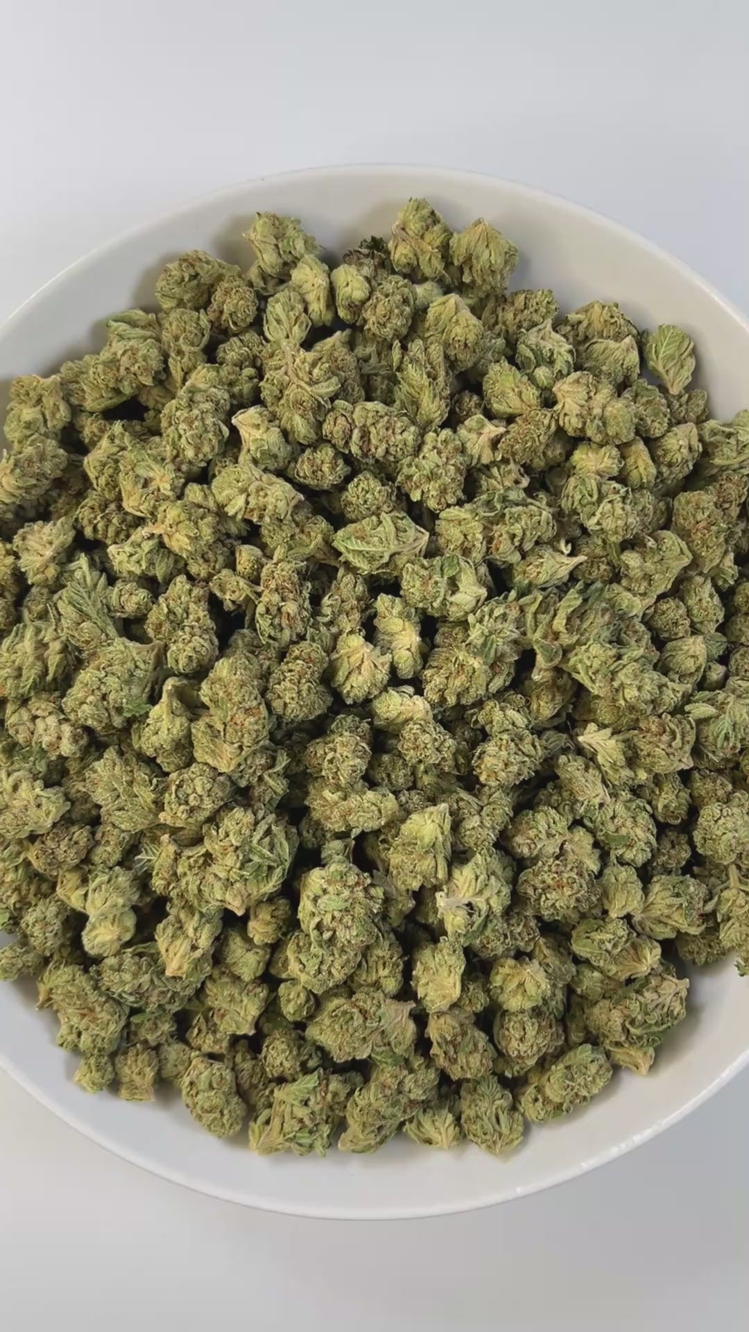 PUFFY Mule Fuel (smalls) is a hybrid THCa strain, crafted from a genetic cross of Lurch and GMO Cookies. The aroma is bold and pungent, with sharp peppery notes, a robust garlicky undertone, and the unmistakable fuel-like scent of diesel. Visually, the buds are dense and compact, showcasing a vibrant olive-green color and a sparkling layer of trichomes. Consumers often report a deeply relaxing experience, characterized by waves of euphoria, soothing calm, a heavy, calming body melt, and a blissful sense of 