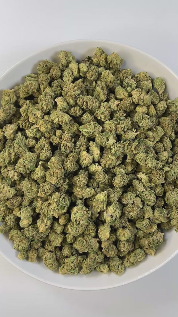 PUFFY Mule Fuel (smalls) is a hybrid THCa strain, crafted from a genetic cross of Lurch and GMO Cookies. The aroma is bold and pungent, with sharp peppery notes, a robust garlicky undertone, and the unmistakable fuel-like scent of diesel. Visually, the buds are dense and compact, showcasing a vibrant olive-green color and a sparkling layer of trichomes. Consumers often report a deeply relaxing experience, characterized by waves of euphoria, soothing calm, a heavy, calming body melt, and a blissful sense of 