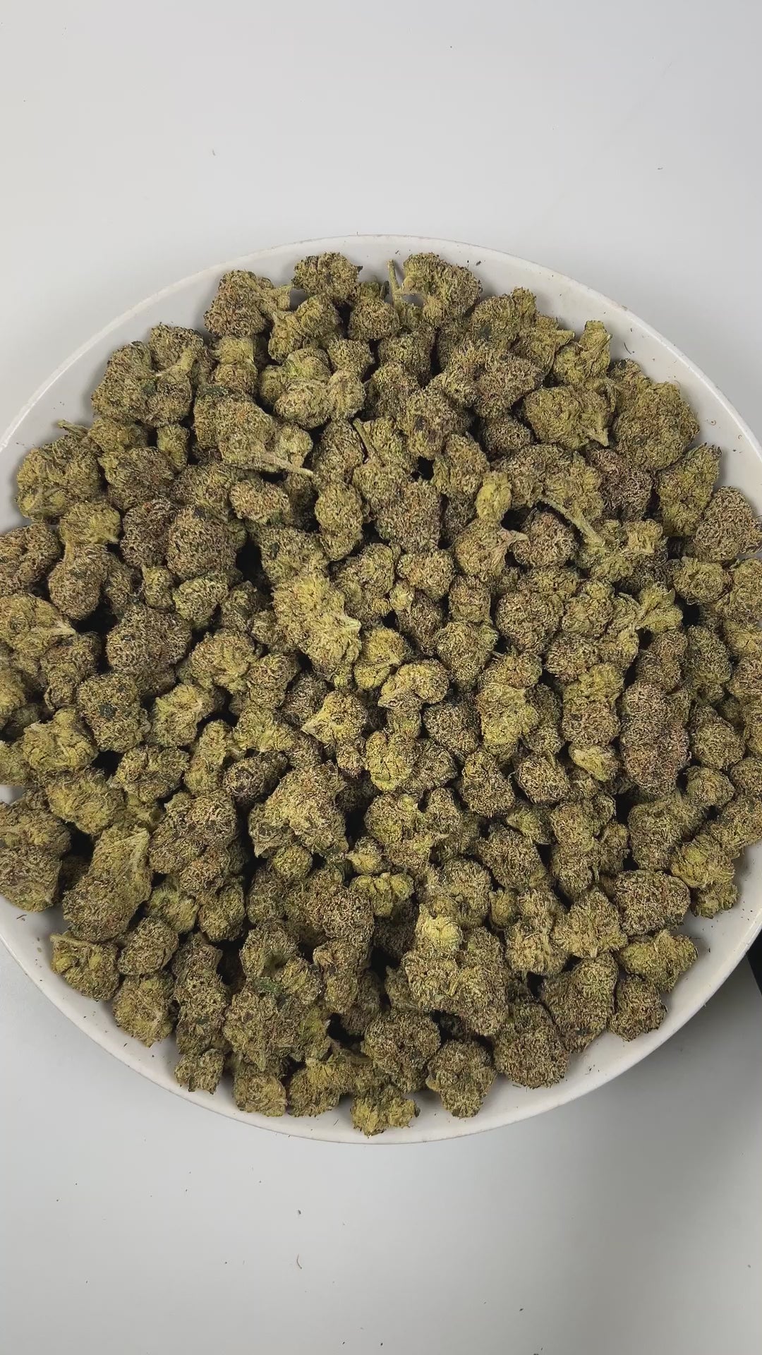 PUFFY Warhead is a sativa-dominant  hybrid THCa strain, expertly crafted from a potent cross between Kaboom and Sour Pez. The aroma opens with a tangy, zesty burst, delivering a sharp sourness that instantly awakens the senses. Visually, the dense forest-green buds are accented by rich purple hues and fiery orange pistils, all generously coated in a thick layer of sticky, glistening trichomes. Consumers often report uplifting, energizing, and euphoric effects with a strong cerebral lift that enhances focus,