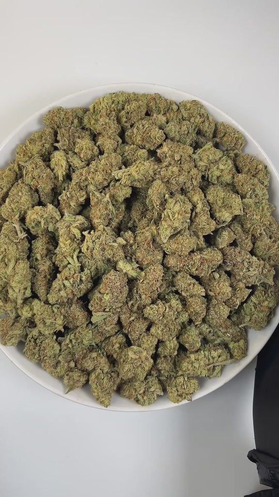 PUFFY Super Lemon Haze is a potent sativa THCa strain, a vibrant cross between Lemon Skunk and Super Silver Haze. The aroma is a vibrant mix of zesty lemon and sour notes, complemented by a gassy kick and a refreshing hint of lemongrass. Visually striking, its dense buds range from deep green to rich purple, generously frosted with sparkling trichomes and accented by vivid orange hairs. Consumers often report that it provides an energizing boost, elevates mood with a sense of euphoria, and sharpens mental c