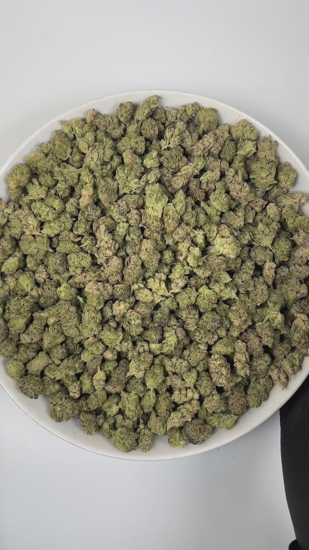 PUFFY Ice Cream Cake (smalls) is an Indica-dominant hybrid THCa strain, born from the potent cross between Wedding Cake and Gelato #33. The aroma unfolds with a rich, creamy sweetness, layered with warm vanilla notes and delicate floral undertones. Visually, its buds are dense and chunky, showcasing a vibrant mix of green and purple hues with occasional touches of lavender, accented by fiery orange pistils. Consumers often report an experience that begins with a euphoric, uplifting cerebral high, gradually 