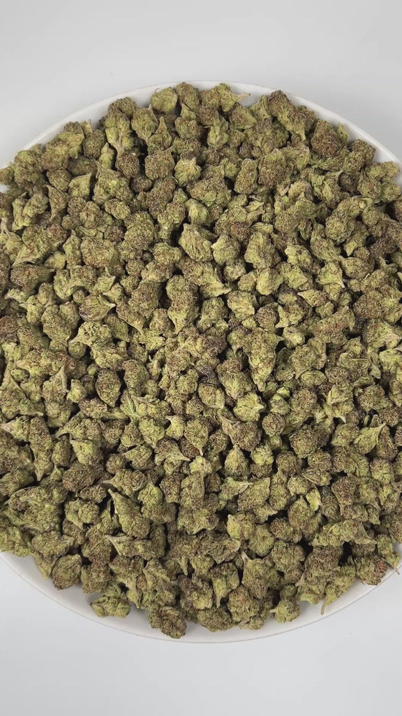 PUFFY Gush Mintz (smalls) is an indica-dominant hybrid THCa strain, born from the cross of Kush Mints × (F1 Durb × Gushers). The aroma is a distinctive blend of cool mint and savory cheese, layered with a sharp, pungent edge that gives it a bold and memorable character. Visually, the buds are dense and striking, showcasing dark green and deep purple hues intertwined with vibrant orange pistils and a sparkling layer of shimmering trichomes. Consumers often describe a powerful, body-zapping high that dissolve