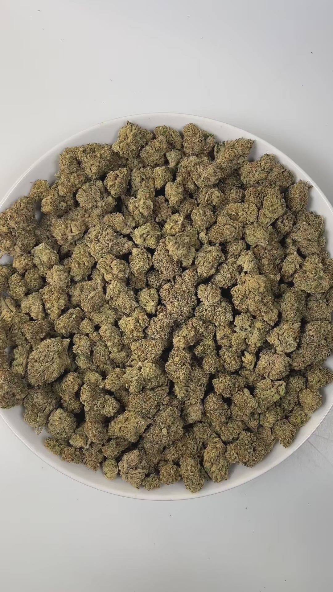 PUFFY White Lobster is a potent hybrid THCa strain born from the powerful cross between Planet Dosi 17 and Ghostface OG. The aroma is rich and gassy, with pungent undertones and a fresh, piney finish.  Visually, the buds are dense and trichome-coated, giving off a frosty, white appearance that reflects the strain’s high potency. Consumers commonly report a euphoric high that is predominantly relaxing yet mentally uplifting, making it an excellent choice for stress relief and mood enhancement.