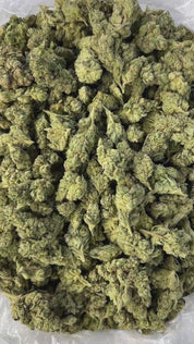 PUFFY GG4, also known as Gorilla Glue #4 is a potent hybrid THCa strain created from a cross between Chem’s Sister, Sour Dubb, and Chocolate Diesel. This strain boasts a bold and pungent aroma, a powerful fusion of gas and sharp menthol, delivering a refreshing scent with a distinct icy edge. The flavor profile is equally rich, offering a harmonious blend of earthy tones, subtle sweetness, and delicate hints of chocolate and coffee. Visually, the buds are dense and chunky, showcasing a vibrant green color a