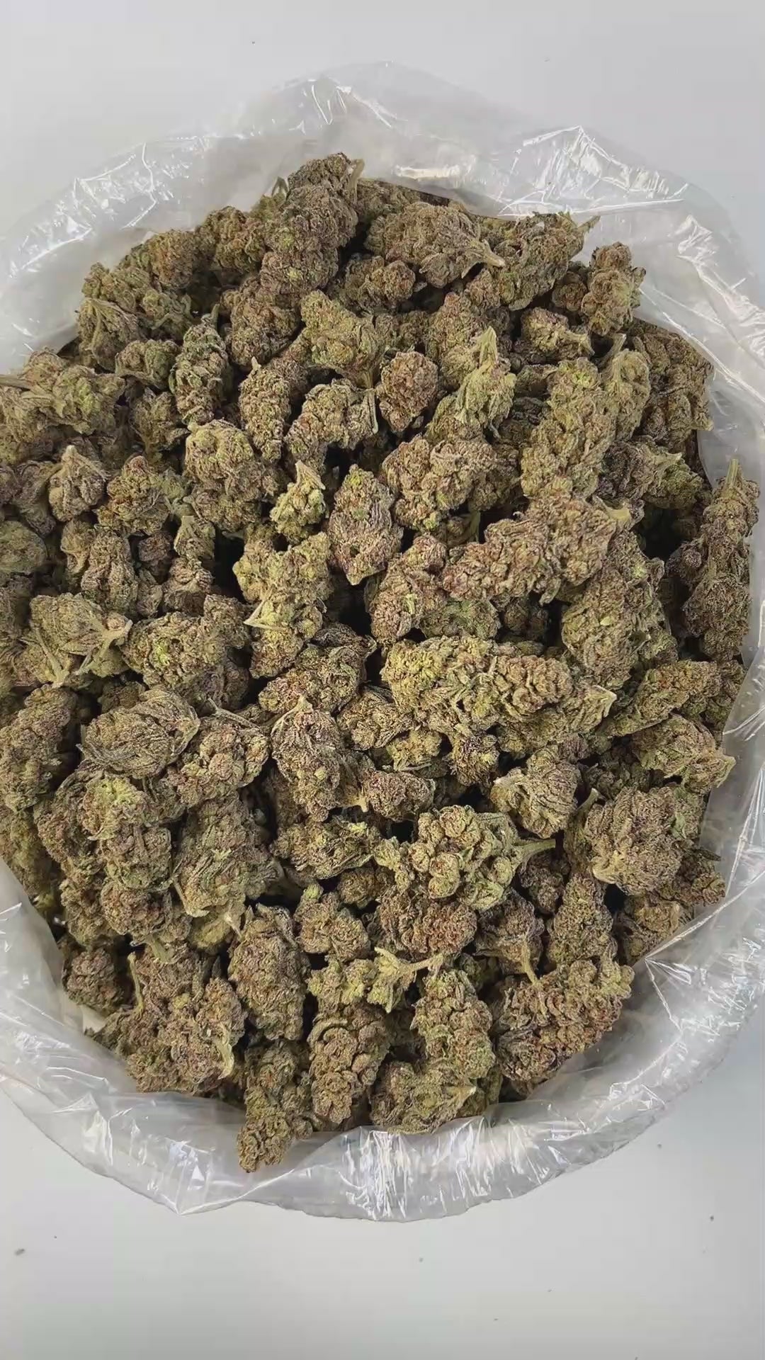 PUFFY Glitter Bomb is an indica-dominant hybrid THCa strain born from the flavorful cross of Grape Gas #10 and OGKB Blueberry Headband. Aroma is bright citrus layered with delicate floral undertones, offering a fresh, invigorating bouquet that’s both uplifting and soothing. The flavor is sweet and fruity, bursting with notes of berry, blueberry, grape, and citrus, rounded out by hints of skunk and spicy herbs. Visually, the buds are stunning dark purple-olive in color, accented by vibrant orange hairs, and 