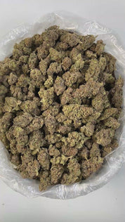 PUFFY Glitter Bomb is an indica-dominant hybrid THCa strain born from the flavorful cross of Grape Gas #10 and OGKB Blueberry Headband. Aroma is bright citrus layered with delicate floral undertones, offering a fresh, invigorating bouquet that’s both uplifting and soothing. The flavor is sweet and fruity, bursting with notes of berry, blueberry, grape, and citrus, rounded out by hints of skunk and spicy herbs. Visually, the buds are stunning dark purple-olive in color, accented by vibrant orange hairs, and 