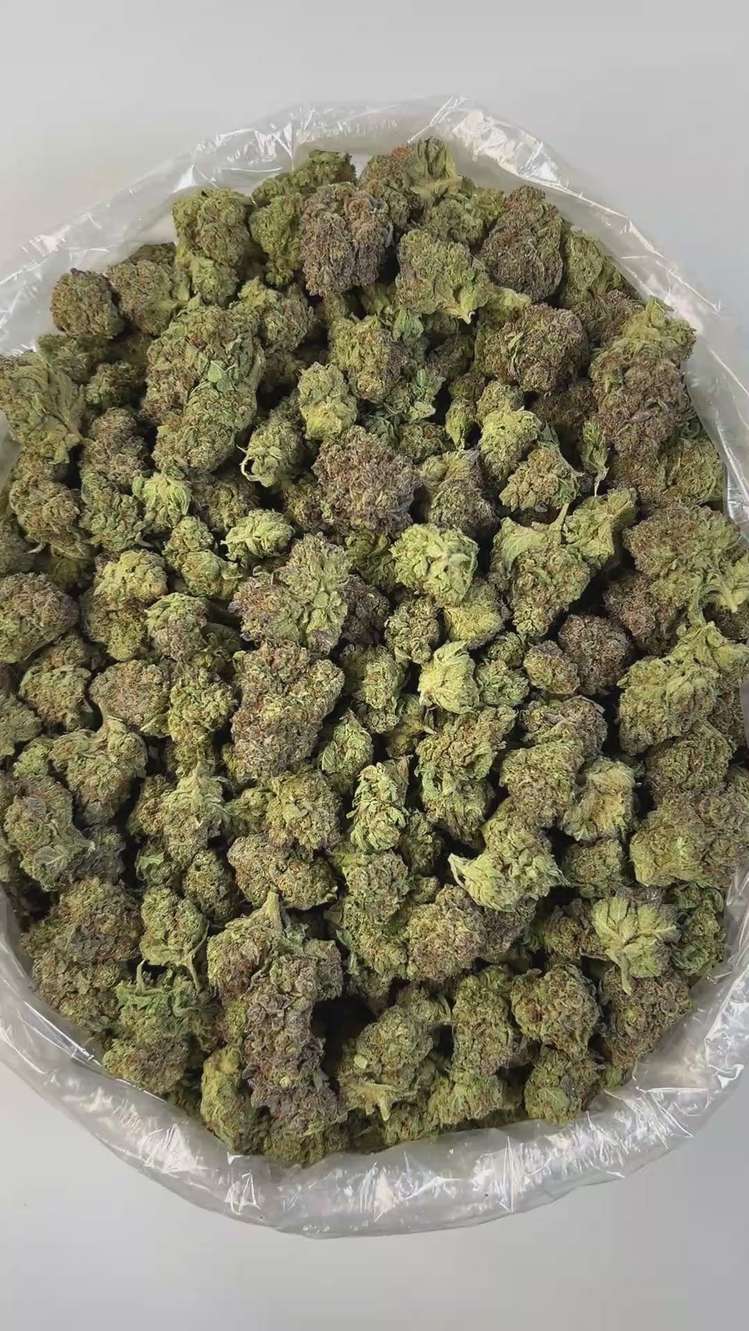 PUFFY Birthday Cake is an indica-dominant hybrid THCa strain created from Girl Scout Cookies (GSC) × Cherry Pie. The aroma delivers a rich, creamy scent layered with warm, doughy notes reminiscent of fresh-baked pastries. Visually, the buds Dense, chunky buds in forest green with purple hues are coated in frosty white trichomes and accented by bright orange pistils throughout. Consumers often report Euphoric and uplifting at first, this strain delivers deep physical relaxation with a sedative body high in l