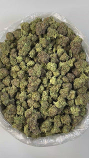 PUFFY Birthday Cake is an indica-dominant hybrid THCa strain created from Girl Scout Cookies (GSC) × Cherry Pie. The aroma delivers a rich, creamy scent layered with warm, doughy notes reminiscent of fresh-baked pastries. Visually, the buds Dense, chunky buds in forest green with purple hues are coated in frosty white trichomes and accented by bright orange pistils throughout. Consumers often report Euphoric and uplifting at first, this strain delivers deep physical relaxation with a sedative body high in l