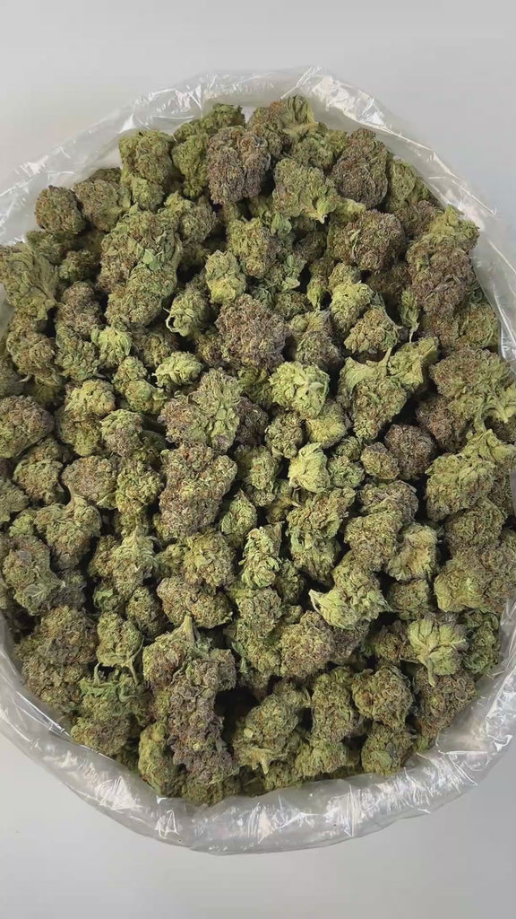 PUFFY Birthday Cake is an indica-dominant hybrid THCa strain created from Girl Scout Cookies (GSC) × Cherry Pie. The aroma delivers a rich, creamy scent layered with warm, doughy notes reminiscent of fresh-baked pastries. Visually, the buds Dense, chunky buds in forest green with purple hues are coated in frosty white trichomes and accented by bright orange pistils throughout. Consumers often report Euphoric and uplifting at first, this strain delivers deep physical relaxation with a sedative body high in l