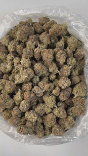 PUFFY Blueberry Pancake is an indica-dominant hybrid born from the cross of DJ Short Blueberry and either Purple Panty Dropper or a hybrid with Slurricane. Its aroma delivers a striking blend of sharp chemical and gassy notes, balanced by the sweet, refreshing scent of ripe fruits and fresh berries. Visually, the buds are dense and heavily coated in trichomes, displaying a vibrant mix of deep green, blue-purple, and olive tones, accented by bright orange pistils and a thick layer of visible resin. Consumers