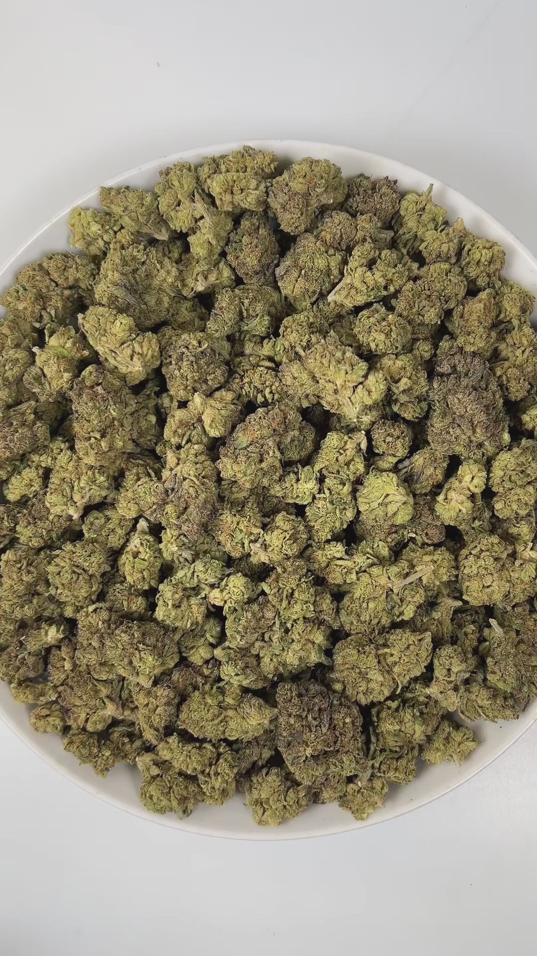 PUFFY Permanent Marker is an indica-dominant hybrid THCa strain, born from the complex cross of Biscotti, Jealousy, and Sherbet BX. The aroma is a vibrant blend of gassy, citrusy, and herbal notes, creating a sharp yet refreshing sensory experience. Visually striking, the buds feature deep purple and green hues, bright orange pistils, and a thick coating of sparkling resinous trichomes. Consumers often report a blissful euphoria that uplifts the mood, sparks creativity, creates gentle tingling sensations, a