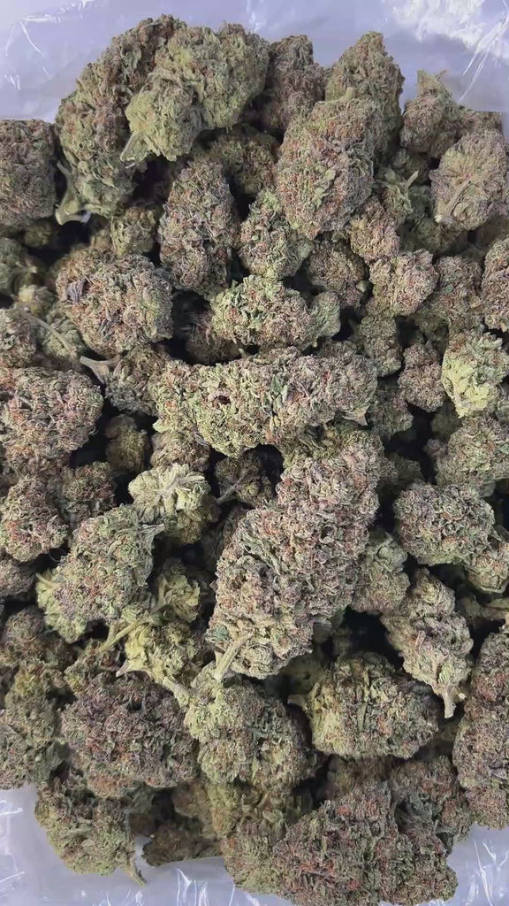 PUFFY Garlic Cookies is a potent indica-dominant hybrid THCa strain, born from the legendary cross of Girl Scout Cookies and Chemdawg. The aroma is a rich blend of sweet cream and smooth vanilla, offering a warm, indulgent scent that’s both comforting and enticing. Visually, the buds are dense and sticky, showcasing a striking mix of dark green and purple hues, drenched in thick crystalline trichomes and accented by fiery orange pistils. Consumers often report a deeply relaxing and calming effect that begin