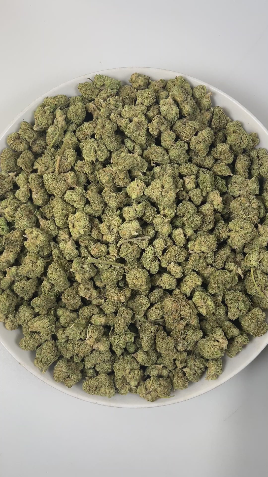 PUFFY Pink Drink (smalls) is a balanced hybrid THCa strain, born from the flavorful cross between Banana Punch × OG Fruit Smoothie. The aroma greets the senses with bright tropical and fruity notes, grounded by subtle earthy undertones. Visually, the dense buds feature bright green and purple hues, accented by orange pistils and a sparkling layer of trichomes. Consumers often report a balanced high, combining uplifting cerebral euphoria with soothing body relaxation, enhanced creativity, focus, sociability,