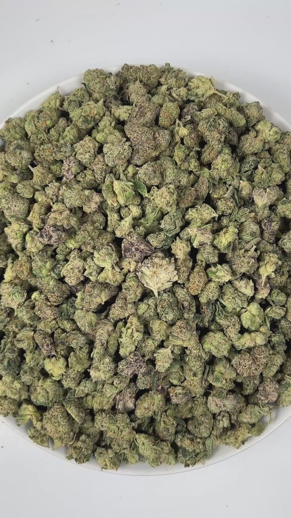 PUFFY Bubblegum Gelato (smalls) is an indica-dominant hybrid THCa strain, was crafted by crossing the flavorful Gelato #45 with the classic Indiana Bubblegum. The aroma is a bold fusion of sweet cherry layered with earthy undertones and a subtle hint of rubber, creating a uniquely rich and intriguing scent profile. Visually, the buds are dense and compact, showcasing deep forest-green hues accented by long, fiery orange pistils and a generous coating of glistening trichomes. Consumers often report an uplift