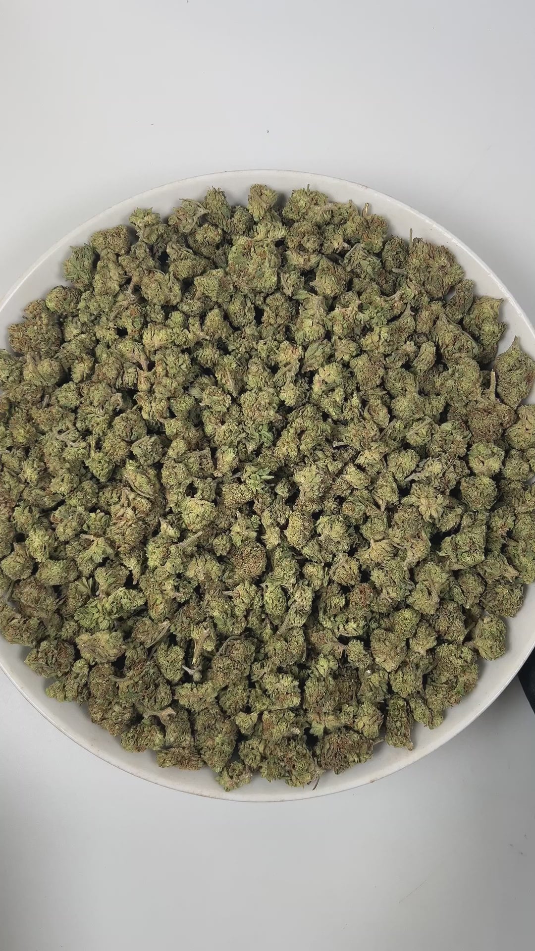 PUFFY Hash Burger (smalls) is an indica-dominant hybrid THCa strain, born from the masterful cross between Han Solo Hash Plant × Double Burger. The aroma is a savory mix of sharp onion, smooth creamy notes, and a hint of spicy pepper, creating a rich and intriguing scent. Visually, dense forest-green buds with purple hues and fiery orange pistils are coated in sticky trichomes. Consumers often report an experience that begins with a euphoric cerebral rush, gradually easing into deep body relaxation that del