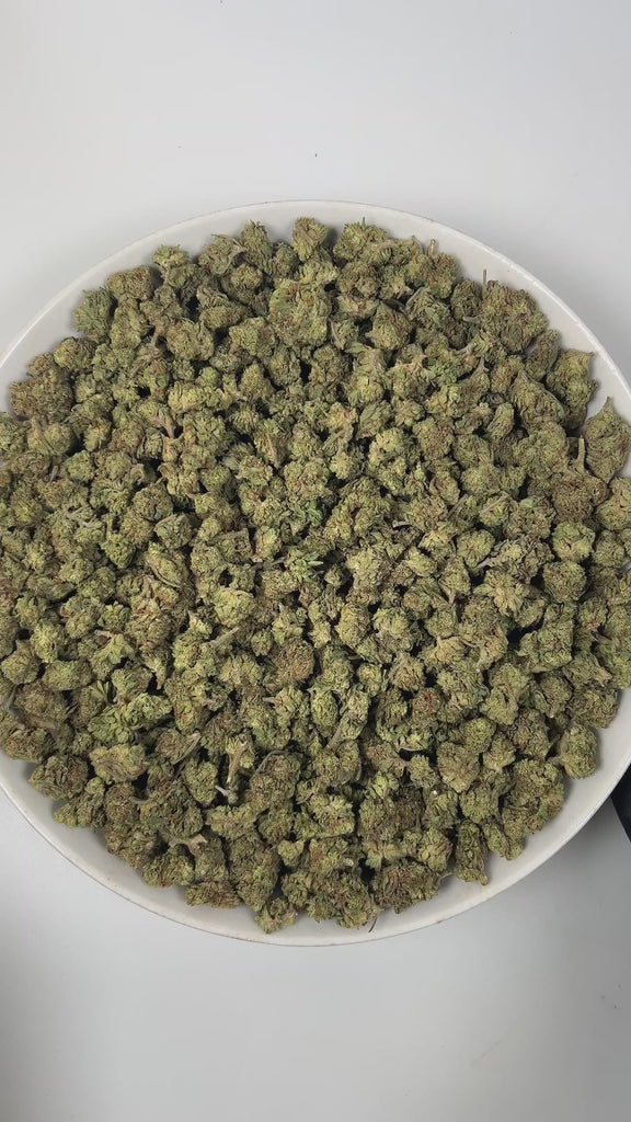 PUFFY Hash Burger (smalls) is an indica-dominant hybrid THCa strain, born from the masterful cross between Han Solo Hash Plant × Double Burger. The aroma is a savory mix of sharp onion, smooth creamy notes, and a hint of spicy pepper, creating a rich and intriguing scent. Visually, dense forest-green buds with purple hues and fiery orange pistils are coated in sticky trichomes. Consumers often report an experience that begins with a euphoric cerebral rush, gradually easing into deep body relaxation that del