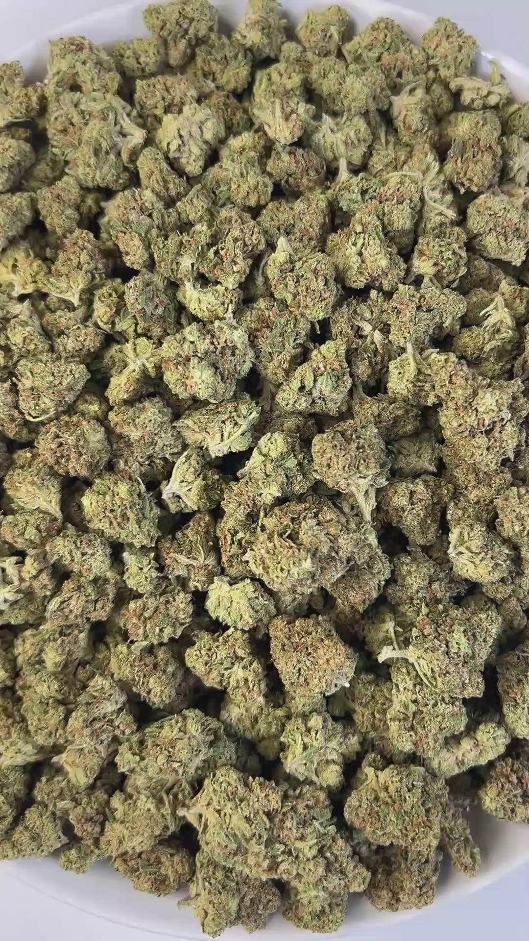 PUFFY Garlic Banana (smalls) is an Indica-dominant hybrid THCa strain born from the flavorful cross of Garlic Cookies × Black Bananas. The aroma opens with rich earthy notes, balanced by a sweet and fruity essence, rounded out with a smooth, creamy finish. Visually, the resinous buds feature forest-green and purple tones, bright orange pistils, and a frosty trichome coating.  Consumers often report a burst of uplifting, euphoric creativity that gradually melts into a soothing full-body calm, gently unwindin