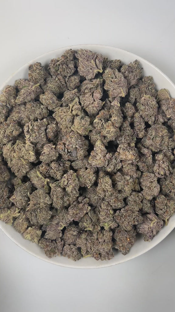 PUFFY Sapphire Cherry is a balanced hybrid THCa strain, expertly bred by crossing the iconic Sapphire OG and Glazed Cherry. The aroma is a lively fusion of juicy cherry, earthy dank undertones, and subtle floral hints. Visually, the buds are thick and compact, showcasing lush forest green and regal purple tones, highlighted by bright orange pistils and a frosty coating of trichomes. Consumers often report a blend of euphoric, happy, and uplifted mood paired with gentle relaxation and increased appetite, del