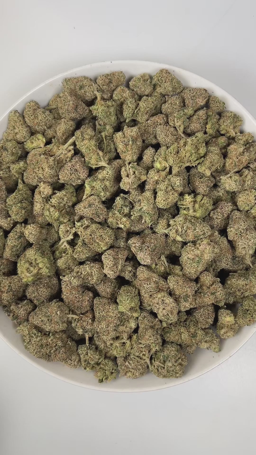 PUFFY Pink Certz is a balanced hybrid THCa strain, created from the potent pairing of The Menthol and Grape Gasoline. The aroma is a bold blend of sweet candy notes, sharp gassy undertones, and pungent chemical hints, creating a striking and memorable scent profile. Visually, dense frosty buds glow neon green with golden hints and pink-orange hairs, coated in sparkling, gem-like trichomes. Consumers often experience an uplifting, clear-headed euphoria that sparks creativity and focus, followed by gentle bod