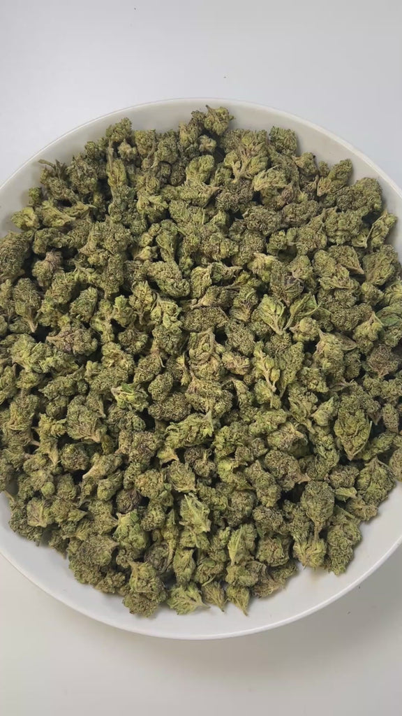 PUFFY Sherb Cream Pie (smalls) is an indica-dominant hybrid THCa strain, born from the renowned cross of Ice Cream Cake and Sherb BX1. The aroma bursts with sharp gas and pungent diesel, balanced by a zesty twist of fresh lemons. Visually, the buds are light and airy with a slightly conical form, showcasing rich green and purple tones, all enveloped in a sparkling layer of frosty trichomes. Consumers often report a wave of euphoria and happiness paired with soothing relaxation and a balanced mental uplift.
