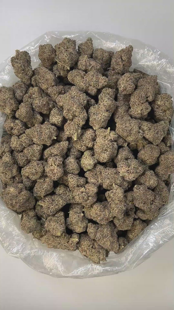 PUFFY Black Truffle is a premium indica-dominant hybrid THCa strain, born from the flavorful cross of Gelato 33 and Chocolate Kush. Aroma is rich and inviting, doughy with warm chocolatey undertones and a smooth, creamy finish. Visually, the dense buds range from dark green to deep purple, coated in a thick layer of frosty trichomes and highlighted by bright orange hairs. Consumers often report a euphoric, uplifting mental buzz followed by deep body relaxation and a calming effect, making it ideal for eveni