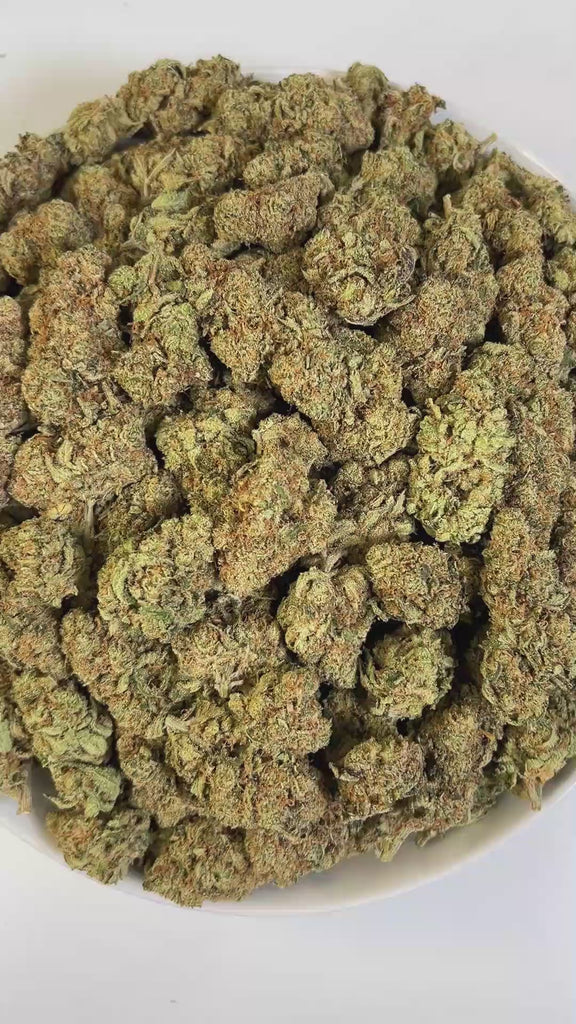 PUFFY Super Lemon Haze is a potent sativa THCa strain, a vibrant cross between Lemon Skunk and Super Silver Haze. The aroma is a sharp blend of diesel and chemical notes, brightened by a zesty hint of lemon that adds a refreshing edge to its intense profile. Visually striking, its dense buds range from deep green to rich purple, generously frosted with sparkling trichomes and accented by vivid orange hairs. Consumers often report that it provides an energizing boost, elevates mood with a sense of euphoria, 