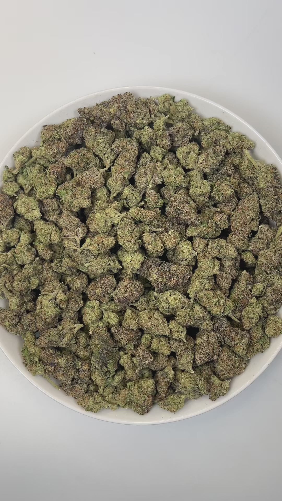 PUFFY Gushers is an indica-dominant hybrid THCa strain, created by expertly crossing Gelato #41 and Triangle Kush. The aroma is a rich and inviting blend of nutty warmth, buttery cream, and sweet vanilla cake, creating an irresistible and comforting fragrance that immediately delights the senses. Visually, the buds impress with dense forest-green hues and purple accents, orange pistils and frosty trichomes. Consumers often describe an initial surge of bright, euphoric energy that uplifts the mind, gradually