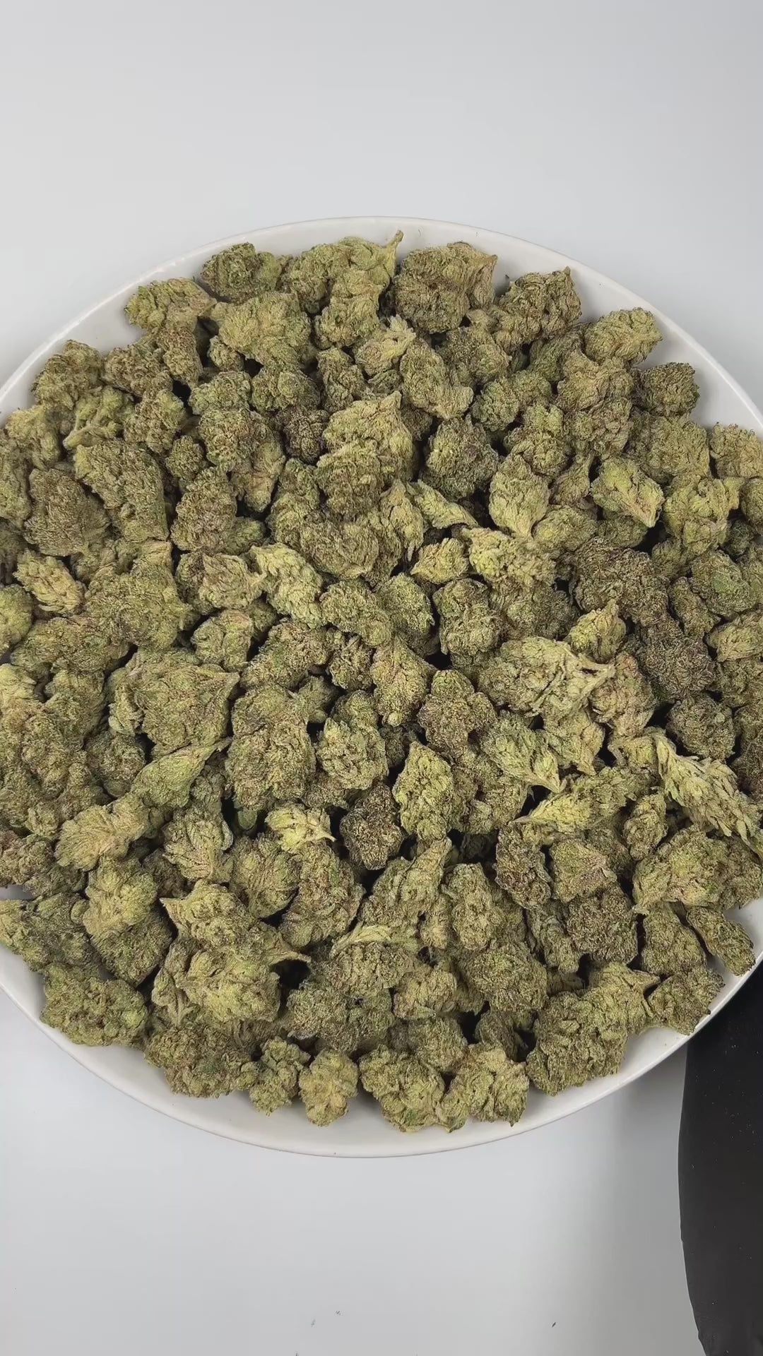 PUFFY Cream Pop is an indica-dominant hybrid THCa strain, created from the flavorful cross of Milk & Cookies × Red Pop. The aroma is creamy and rich, with notes of sweet vanilla and a refreshing hint of citrus. Visually, the buds are dense and dark green with striking purple hues, adorned with vibrant orange pistils and a sparkling layer of crystal trichomes. Consumers often report an initial lifted euphoria that gradually gives way to a sense of calm and happiness, accompanied by physical relaxation.