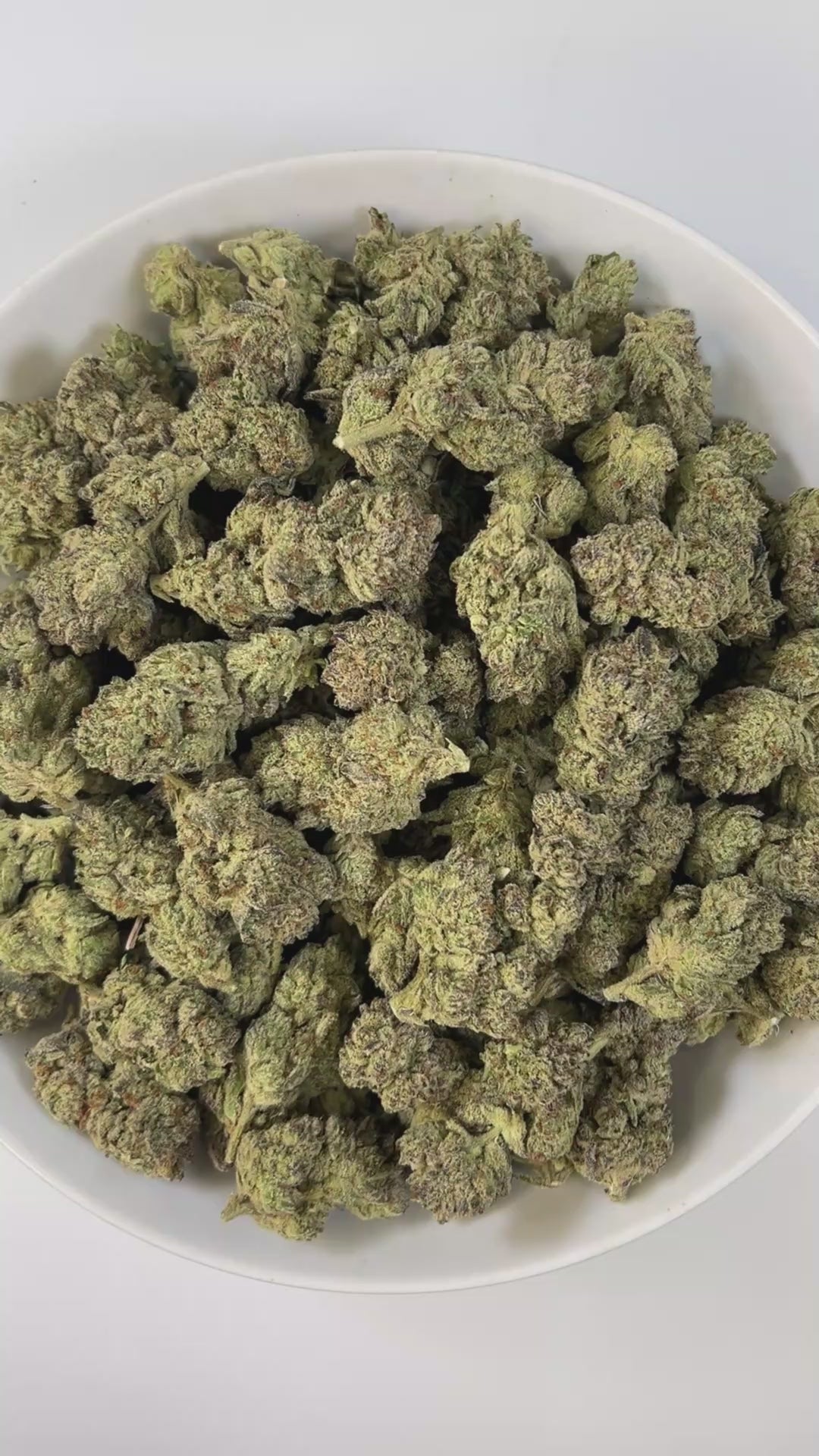 PUFFY Frosted ORZ is an indica-dominant hybrid THCa strain, crafted from the legendary lineage of Cookies N Cream × Secret Weapon. Aroma is rich and indulgent, blending doughy sweetness with smooth chocolate and a creamy finish. Visually striking, the dense green buds showcase subtle purple hues, fiery orange hairs, and a heavy coat of frosty trichomes. Consumers often note an uplifting spark of creativity and euphoria that flows into a relaxed, calm state while keeping conversations lively.
