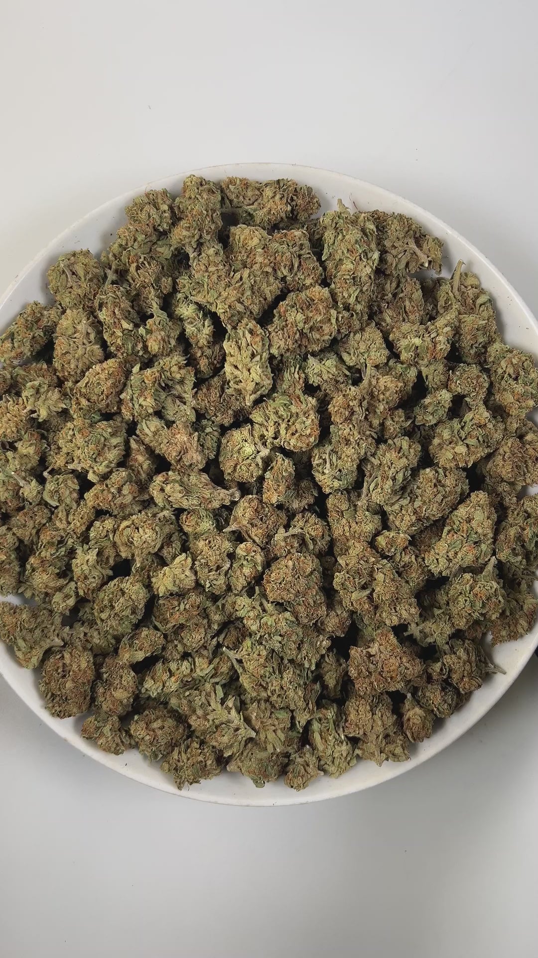 PUFFY Lemon Haze is a sativa-dominant hybrid THCa strain, born from a legendary cross of Lemon Skunk × Silver Haze. The aroma opens with bright, zesty lemon, layered with warm spice and subtle herbal notes that create a fresh yet complex sensory profile. Visually, dense lime-green buds with purple hues and fiery orange pistils are coated in sticky, glistening trichomes. Consumers often report uplifting euphoria and happiness, increased energy, sociability, and creativity, paired with clear-headed focus and 