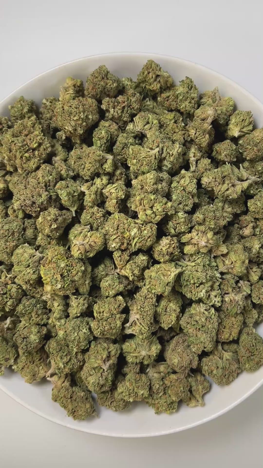 PUFFY Beach Cake is a balanced hybrid THCa strain, born from the flavorful cross of Triangle Kush × Florida Cake. The aroma unfolds with creamy, doughy richness, balanced by a grounding earthy finish.  Visually, the buds are dense and deep green, accented by bright orange pistils and a frosty trichome coating. Consumers often describe an energizing and euphoric experience that sparks sociability, heightens mood, and leaves a tingling, uplifting sensation.

