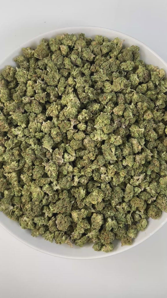 PUFFY Burger Breath (smalls) is an indica-dominant hybrid THCa strain, bred from the renowned cross of GMO Cookies and Larry OG F8. The aroma combines deep earthy notes with a sharp gassy punch, creating a bold and grounding profile. Visually, the buds are compact and resinous, with rich green hues, bright orange pistils, and a frosty trichome finish that may show hints of purple. Consumers describe a high that starts with an uplifting wave of euphoria and light creativity before melting into deep physical 