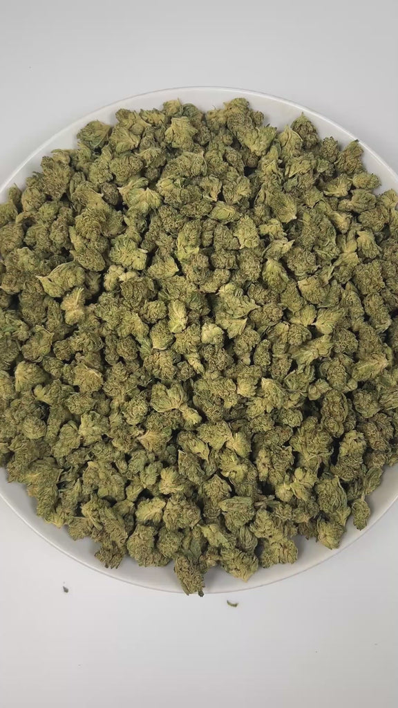 PUFFY GG4 (smalls), also known as Gorilla Glue #4 is a potent hybrid THCa strain, created from a cross between Chem’s Sister, Sour Dubb, and Chocolate Diesel. The aroma blends earthy undertones with bright citrus and a touch of spice, offering a warm and invigorating scent profile. Visually, the buds are dense and chunky, showcasing a vibrant green color accented by fiery orange pistils. Consumers frequently report an intense euphoric high, marked by an uplifting mental buzz that promotes happiness, carefre