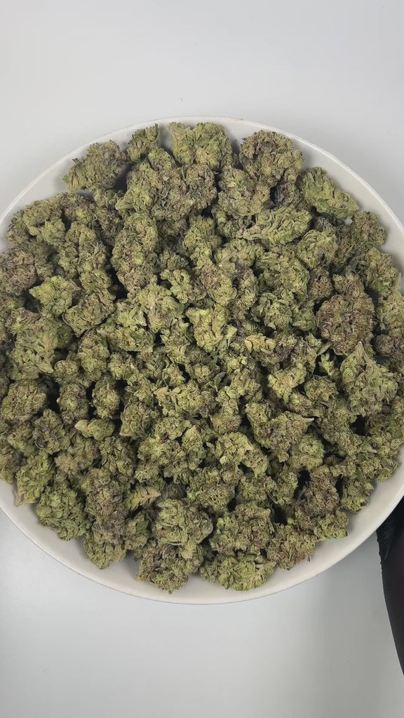 PUFFY Hash Burger is an indica-dominant hybrid THCa strain, born from the masterful cross between Han Solo Hash Plant × Double Burger. The aroma is a bold blend of pungent onion, rich woody notes, and a hint of warm spice. Visually, dense forest-green buds with purple hues and fiery orange pistils are coated in sticky trichomes. Consumers often report an experience that begins with a euphoric cerebral rush, gradually easing into deep body relaxation that delivers uplifting, mood-enhancing effects ideal for 