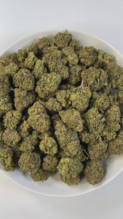 PUFFY Gelato 47 is a hybrid THCa strain, born from the legendary cross of Thin Mint Girl Scout Cookies and Sunset Sherbet. The aroma exudes refined diesel undertones, elegantly balanced by a refreshing hint of mint and a velvety layer of sweet cream. Visually, the buds impress with their compact structure, showcasing deep shades of purple and jade intertwined with bright pistils and a glittering blanket of trichomes. Consumers often report an invigorating cerebral lift that sparks creativity and euphoria, f