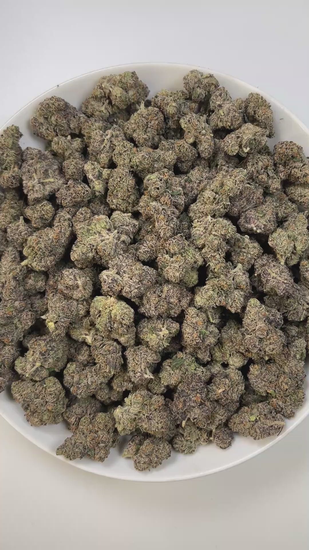 PUFFY White Runtz is a balanced hybrid THCa strain, created from a cross between Gelato and ZKZ. The aroma is a vibrant mix of sweet fruitiness, pungent gassy tones, and a refreshing hint of cool mint. Visually, the buds are dense and frosty, showcasing vibrant green hues with occasional purple accents, all coated in a thick layer of white trichomes. Consumers often report feeling euphoric, uplifted, and in a better mood, with a calming and relaxing effect that doesn’t lead to heavy sedation.
